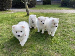 Duplex Apartment Albufeira