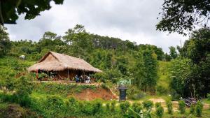 COI NGUON FARM GLAM Mang Den