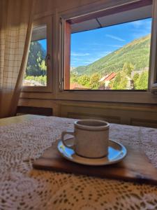 Val di Sole - Pejo1400 tylko 3 minuty od wyciągu