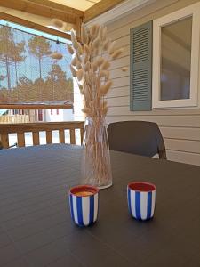 Mobil home tout confort 6 personnes