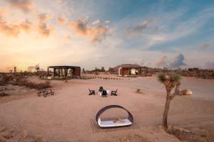 3d By The Cohost Company