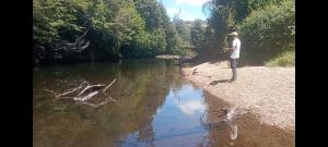 Lomas de Hullinco Lodge