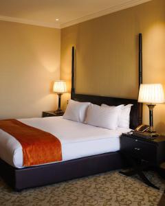 Precesion Palace Suites Near Delhi Airport