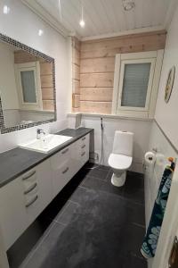 Lapland Reindeer Villa near Rovaniemi