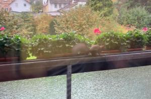 Apartment Shumiland, Eigene Etage near Messe & Airport, Ruhige Lage 40sqm
