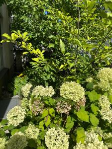 Apartment Shumiland, Eigene Etage near Messe & Airport, Ruhige Lage 40sqm