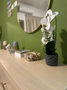 Sol & Arena Bayahibe Apartment