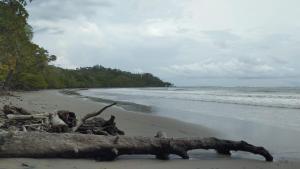 Breathtaking Oceanview Studio