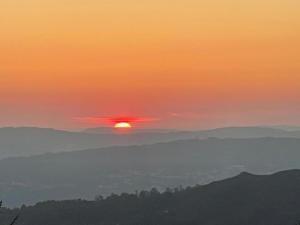 Quintinha De Pinouco