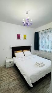 Cozy apartment in the centre of Sofia