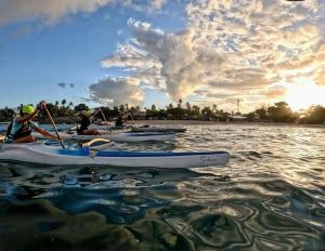 Suite Bahia tropicalia