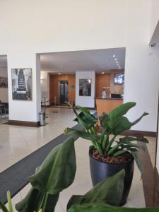 Ao lado da Paulista e metrô lazer completo com estac