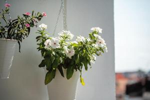 Catania, centro, Sicilia, Italia, Grandi Sogni Home Appartamento