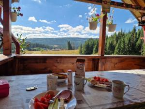 Panoramic Apuseni Doda Pilii