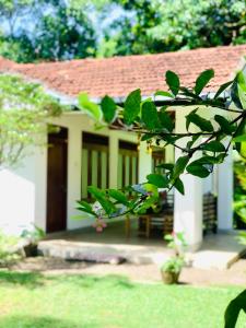 Cocos villa Hikkaduwa