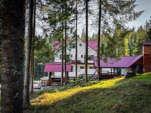 Panoramic Apuseni Doda Pilii