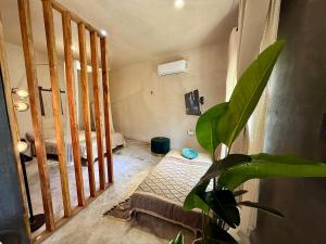 departamento martika