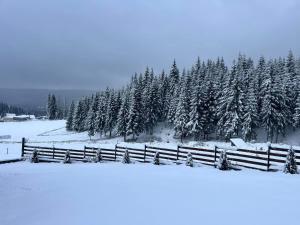 Panoramic Apuseni Doda Pilii
