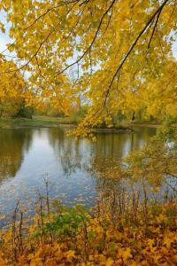 Les Landes de Bruyères