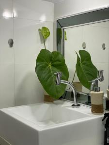 Cozy room - apartment in Geriba