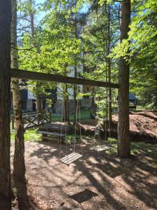 Apartman Forest Rest Divčibare