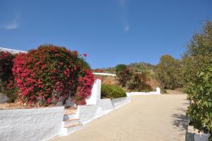 Cortijo J&S Juan Salvador