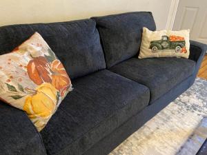 Pet Friendly 1BR St Louis Apartment w Laundry Yard