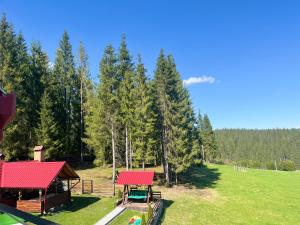 Panoramic Apuseni Doda Pilii