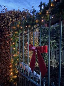 La Belle Échappée à Fléron