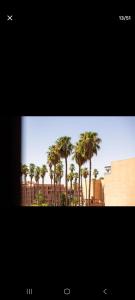 Appartemment Luxe Gueliz