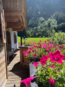 die Floite - Ferienwohnung - Ginzling