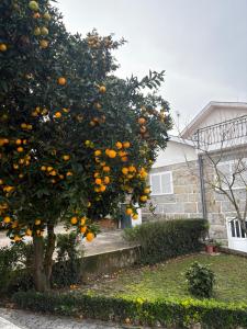 Souto Guimarães Country House