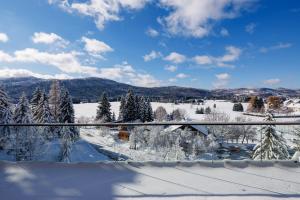 Villa Stella Verde - Wellness Villa with a swimming pool, hot tub and sauna