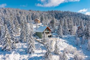 Villa Stella Verde - Wellness Villa with a swimming pool, hot tub and sauna