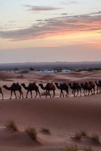 voyageur mhamid Ghislaine