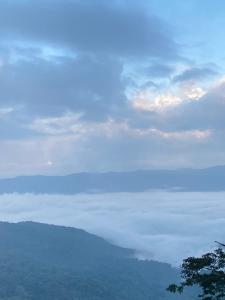 Memory House ภูชี้ฟ้า เชียงราย