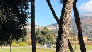 La Casa degli Angeli