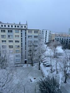 Grunwaldzka Prestige Apartment