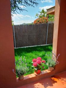 Lovely little house with garden and pool