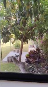 La Casita de Condoray - Lunahuana