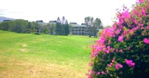 Spacious Studio Near Beaches & Dining