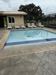 Spacious Studio Near Beaches & Dining