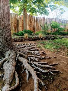 Casa Darragueira de Chacras de Coria