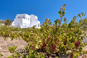 Blanca Luxury Villa Santorini Greece