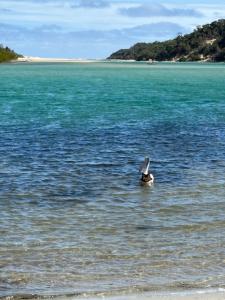 Waterview Motel Sussex Inlet