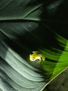 Posada Nativa sol y mar