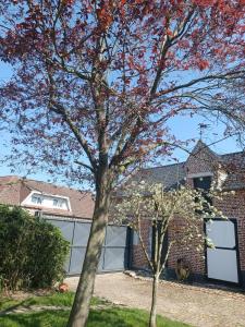 La Réserve, Suite et SPA