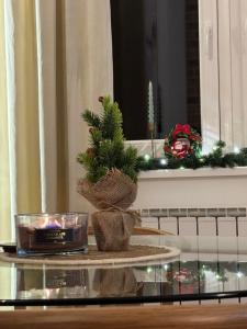 Belvedere Studio Apartman