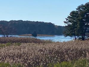 Wellfleet Home