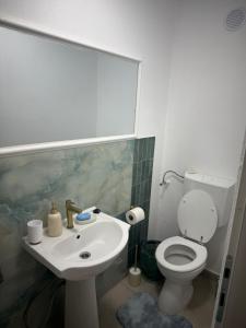 Ski and relax apartment - Voineasa